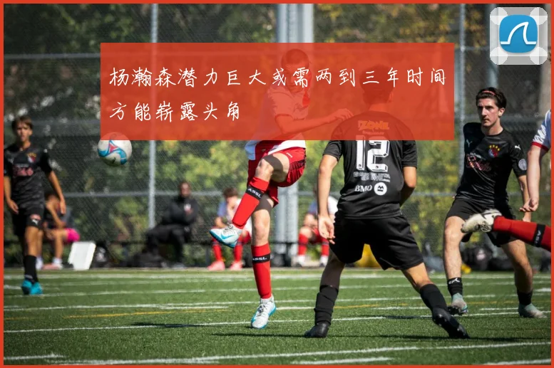 杨瀚森潜力巨大或需两到三年时间方能崭露头角